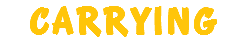 CARRYING